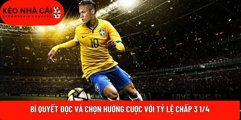 Bí quyết đọc và chọn hướng cược với tỷ lệ chấp 3 1/4