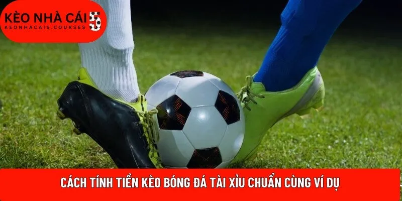 Cách tính tiền kèo bóng đá tài xỉu chuẩn cùng ví dụ