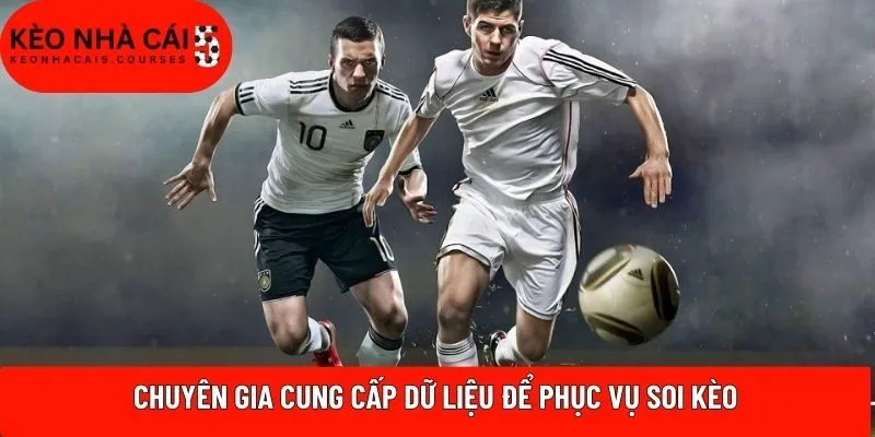 Chuyên gia cung cấp dữ liệu để phục vụ soi kèo