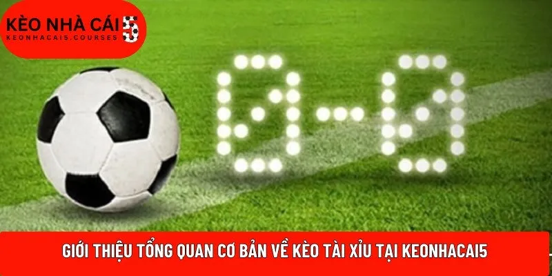 Giới thiệu tổng quan cơ bản về kèo tài xỉu tại Keonhacai5