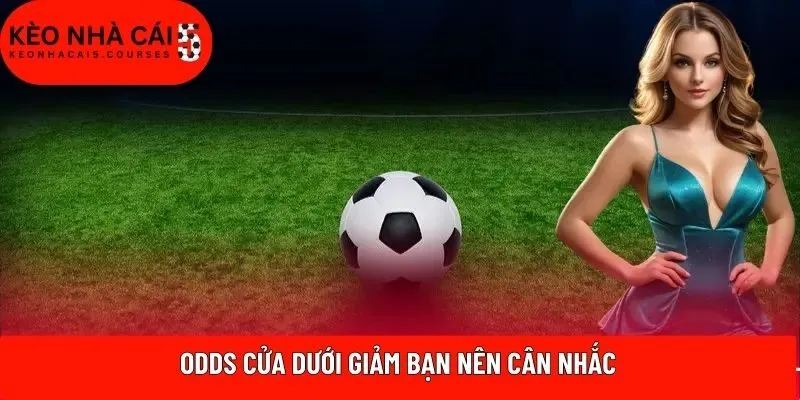 Odds cửa dưới giảm bạn nên cân nhắc