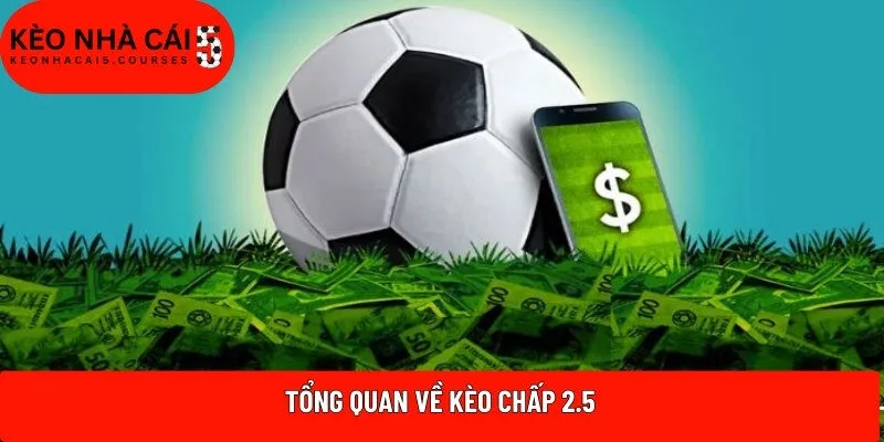 Tổng quan về kèo chấp 2.5